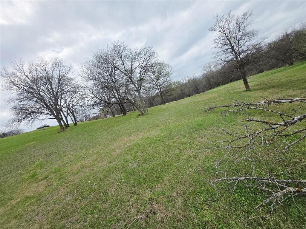 1.03 acres in Dallas County - photo 4