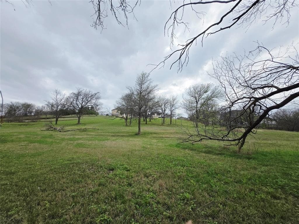 1.03 acres in Dallas County - photo 5