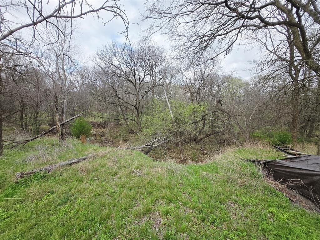 1.03 acres in Dallas County - photo 6
