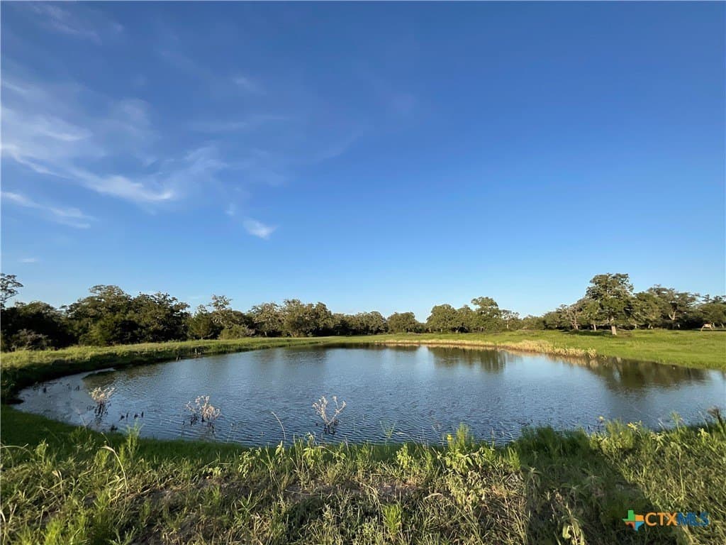 23.25 acres in DeWitt County - photo 7