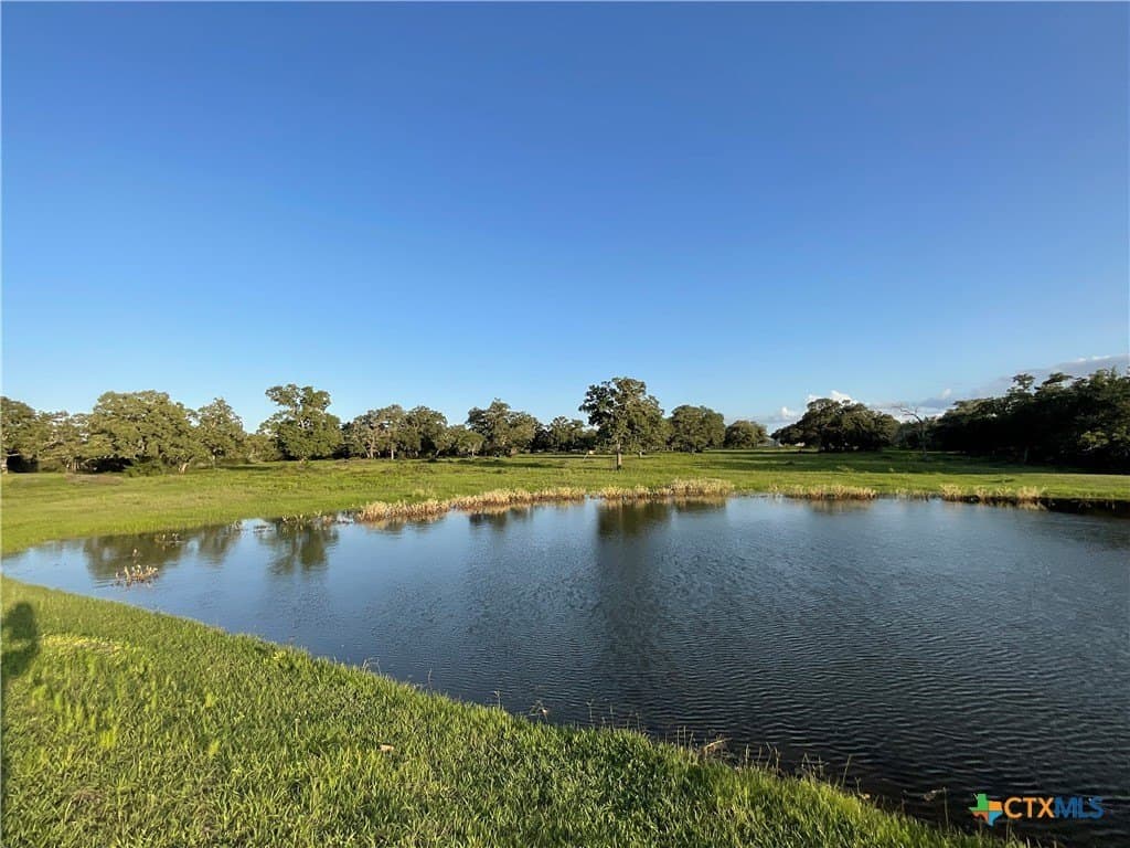 23.25 acres in DeWitt County - photo 8