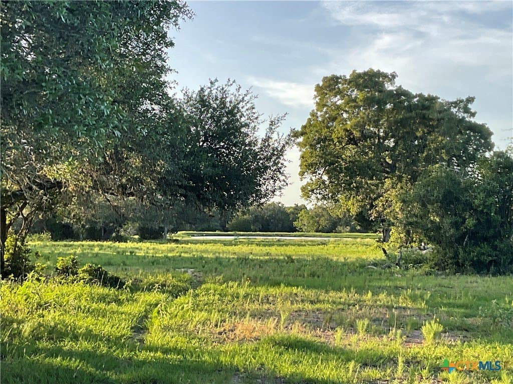23.25 acres in DeWitt County - photo 13