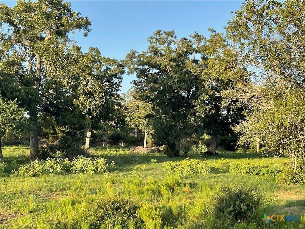 23.25 acres in DeWitt County - photo 15