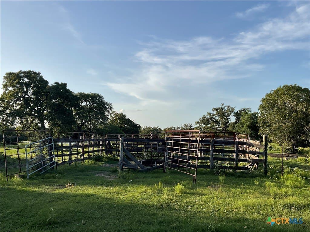 23.25 acres in DeWitt County - photo 6