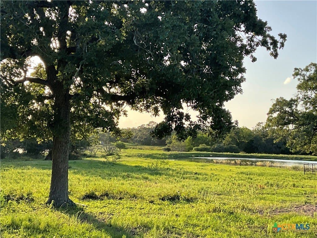23.25 acres in DeWitt County - photo 10
