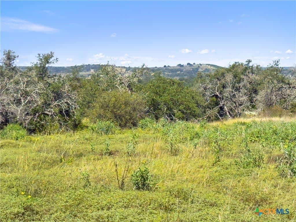 3.01 acres in Gillespie County - photo 27