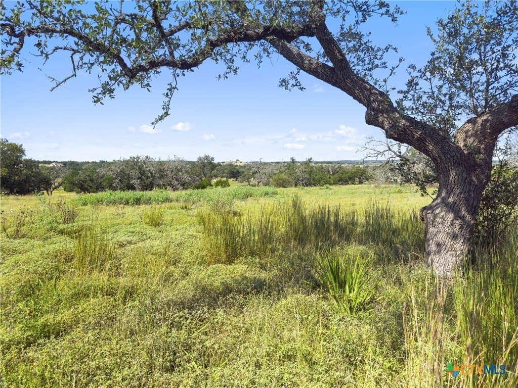 3.01 acres in Gillespie County - photo 2