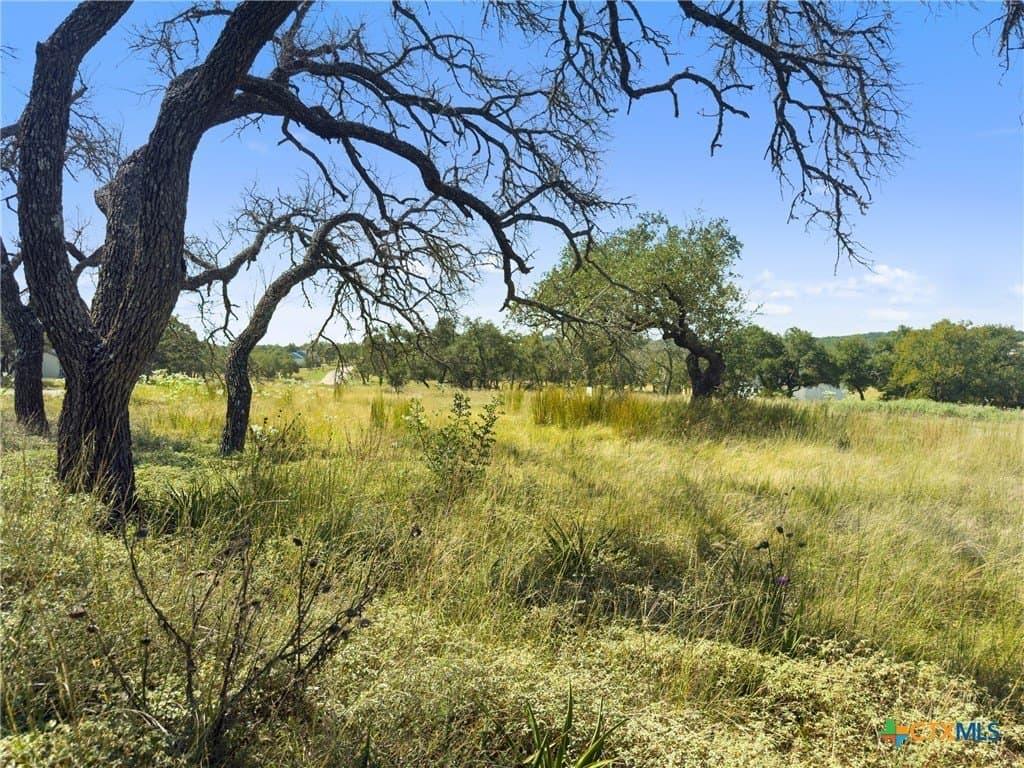 3.01 acres in Gillespie County - photo 22