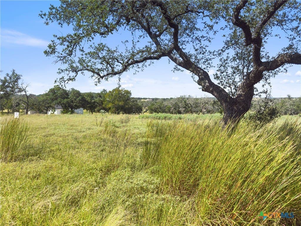 3.01 acres in Gillespie County - photo 5