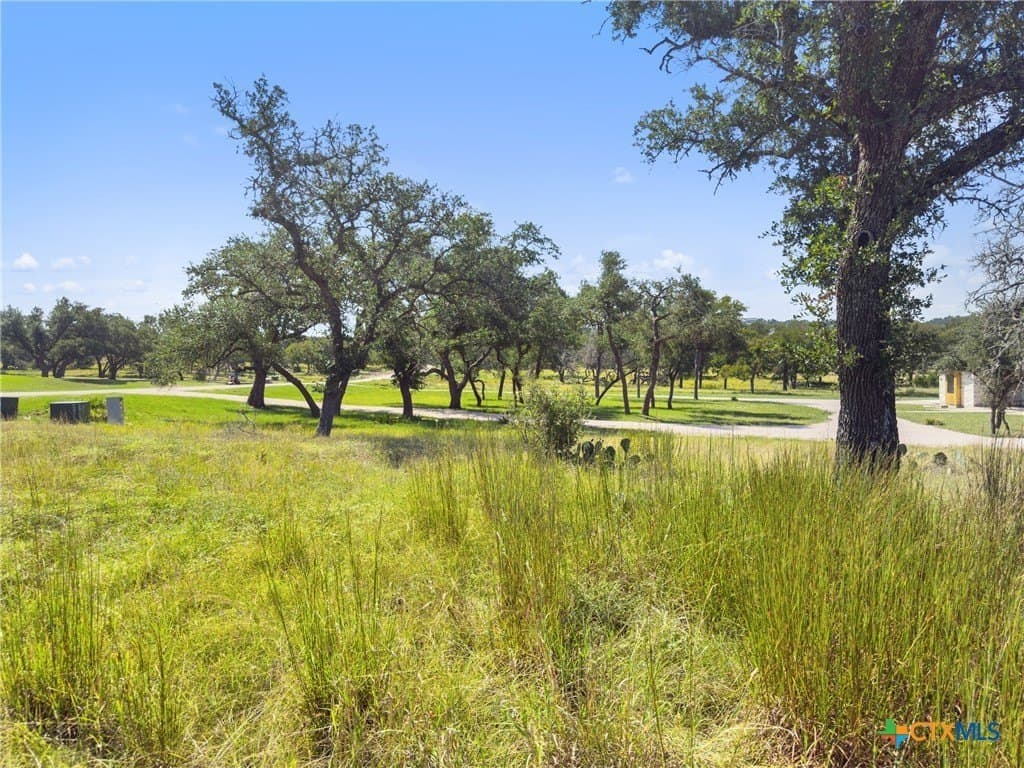 3.01 acres in Gillespie County - photo 8
