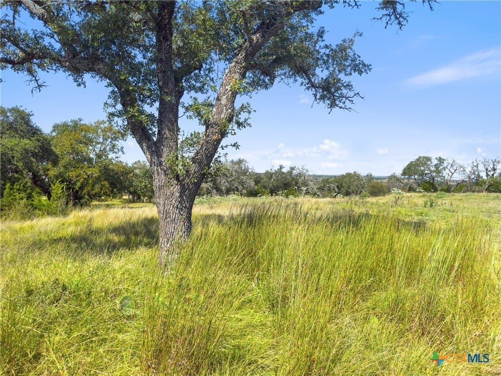 3.01 acres in Gillespie County - photo 3
