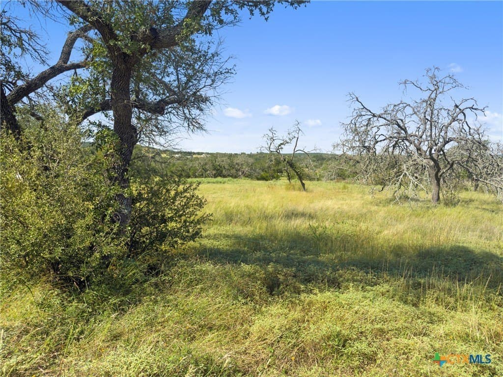 3.01 acres in Gillespie County - photo 20