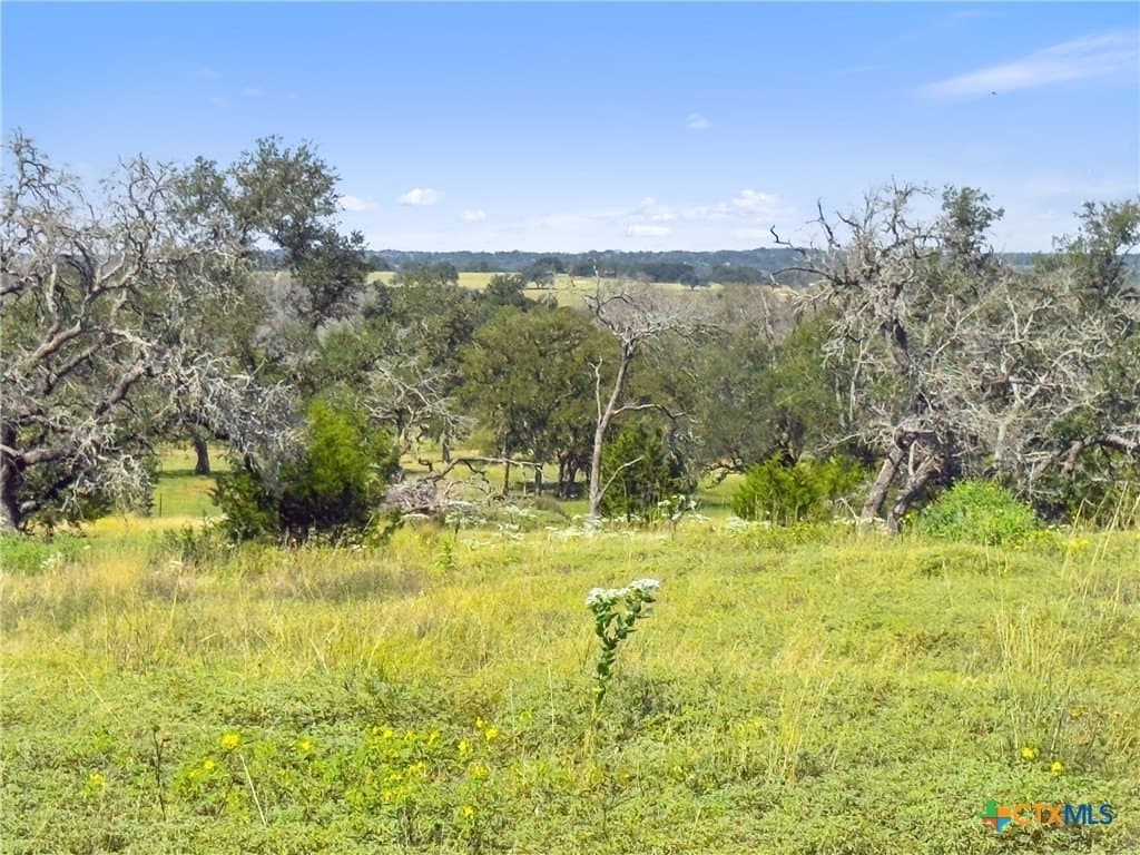 3.01 acres in Gillespie County - photo 28