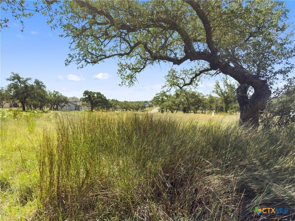 3.01 acres in Gillespie County - photo 23