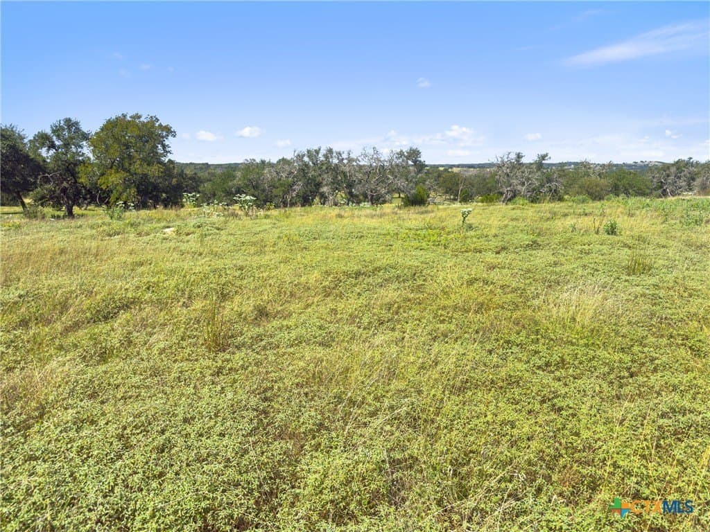 3.01 acres in Gillespie County - photo 26