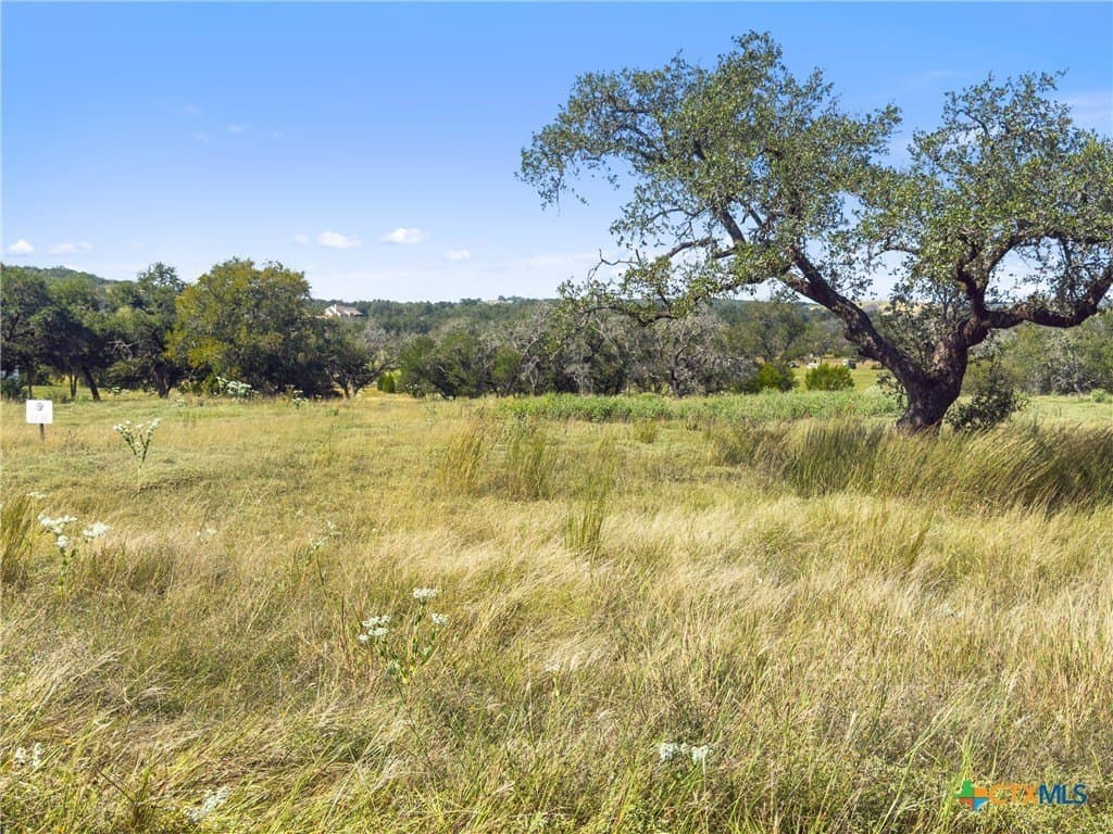 3.01 acres in Gillespie County - photo 6
