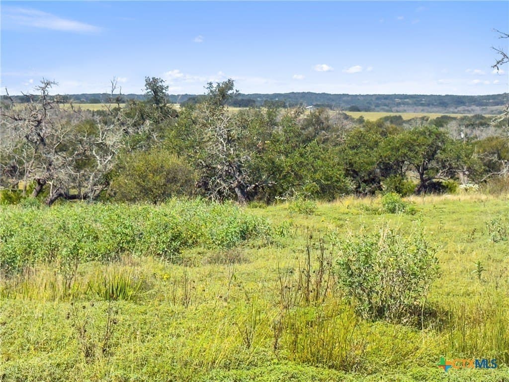3.01 acres in Gillespie County - photo 24