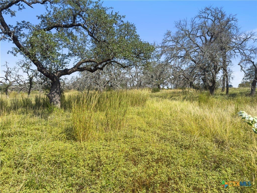 3.01 acres in Gillespie County - photo 25