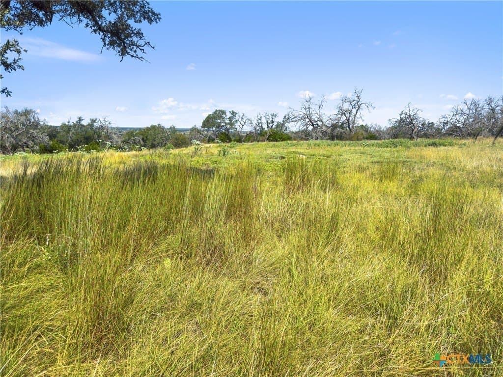 3.01 acres in Gillespie County - photo 30