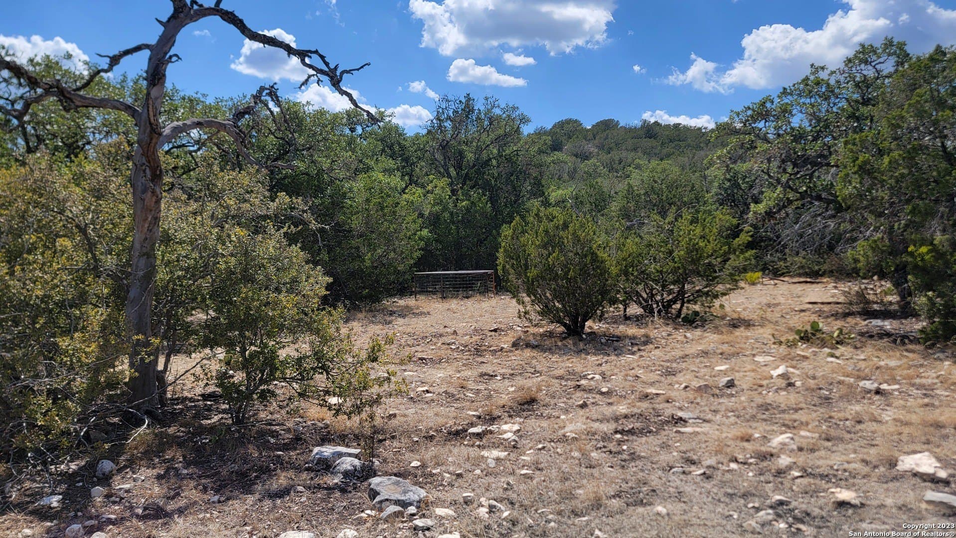 57.84 acres in Edwards County - photo 13