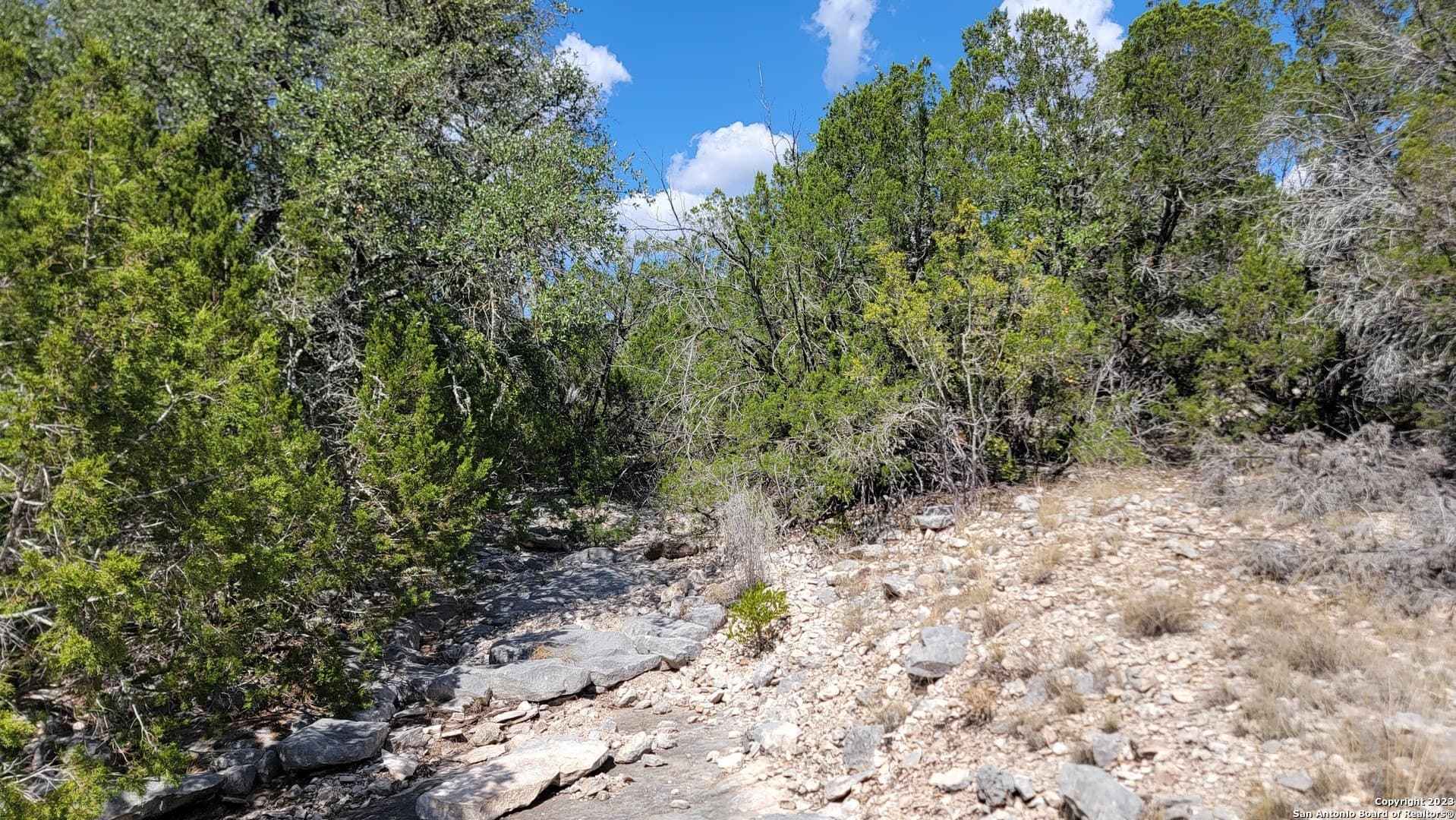 57.84 acres in Edwards County - photo 12