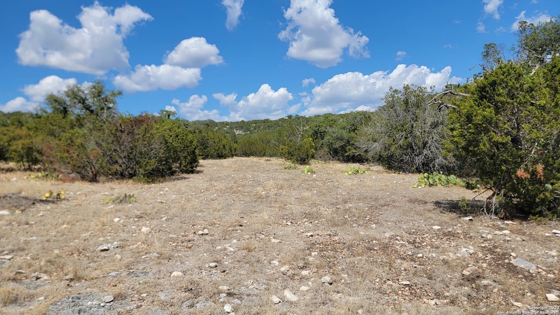 57.84 acres in Edwards County - photo 14