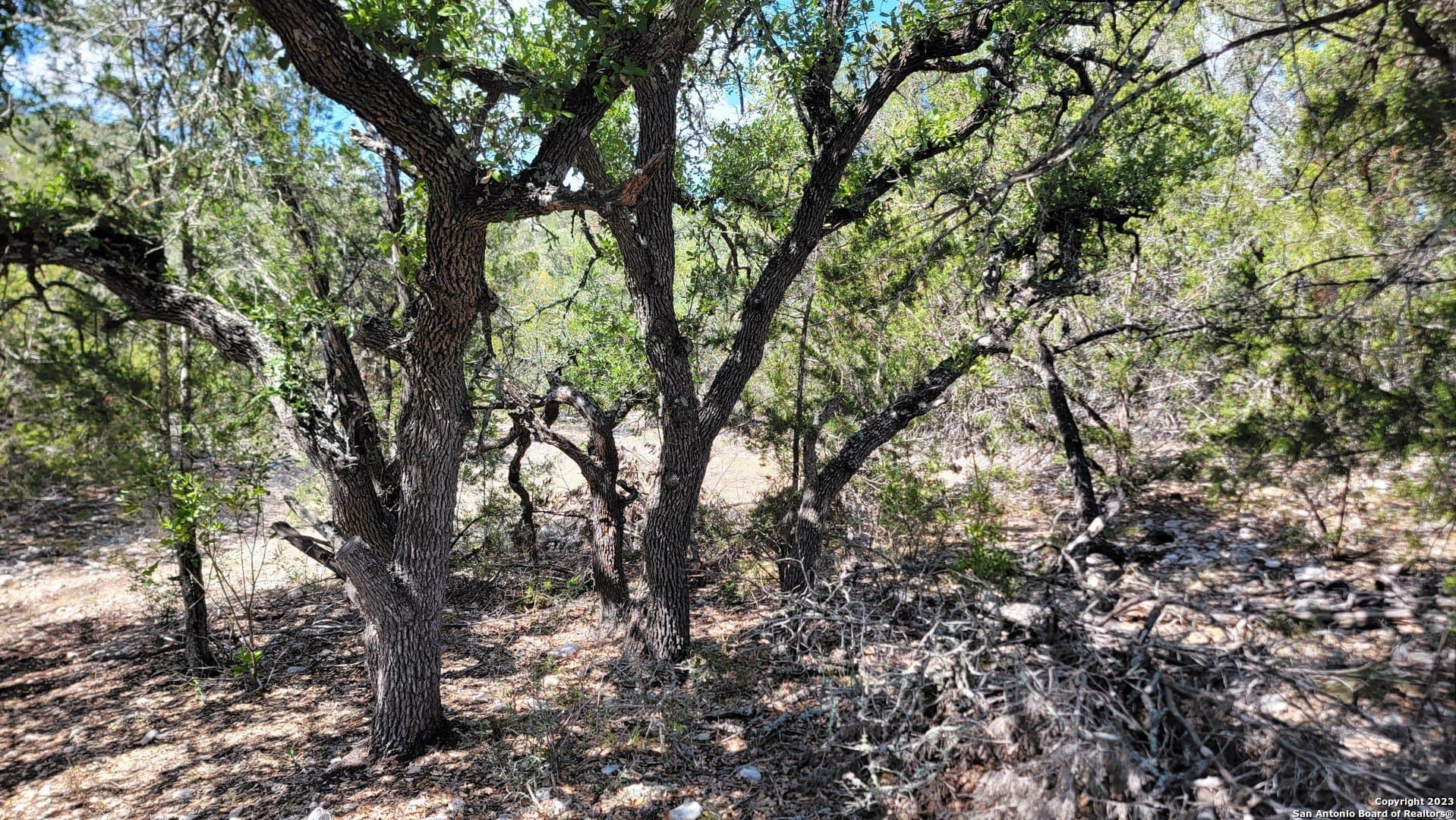 57.84 acres in Edwards County - photo 11
