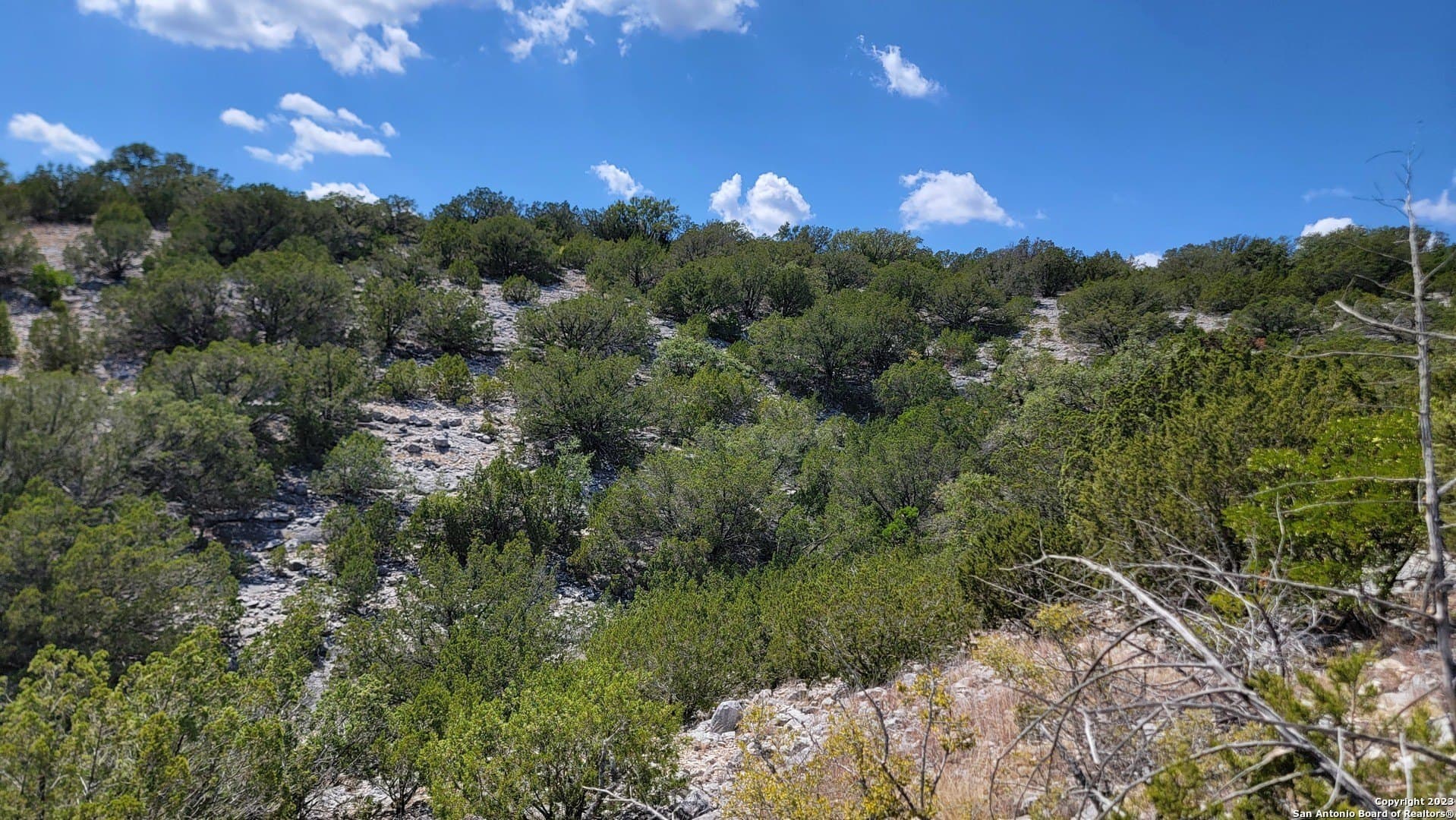 57.84 acres in Edwards County - photo 8