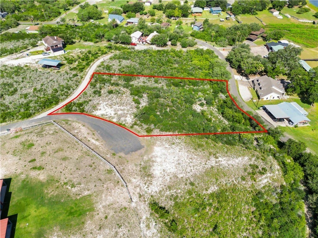 2 acres in Live Oak County - photo 4