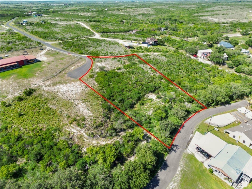 2 acres in Live Oak County - photo 3
