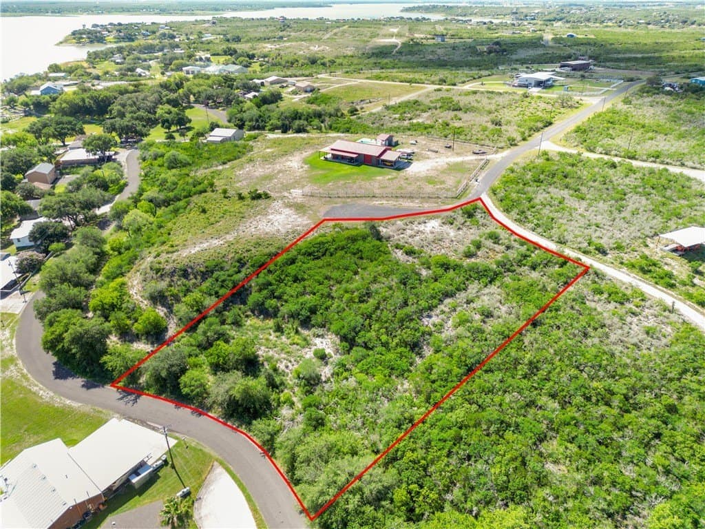 2 acres in Live Oak County - photo 6