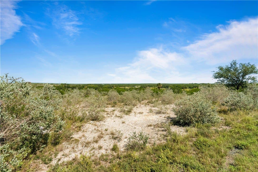 2 acres in Live Oak County - photo 7