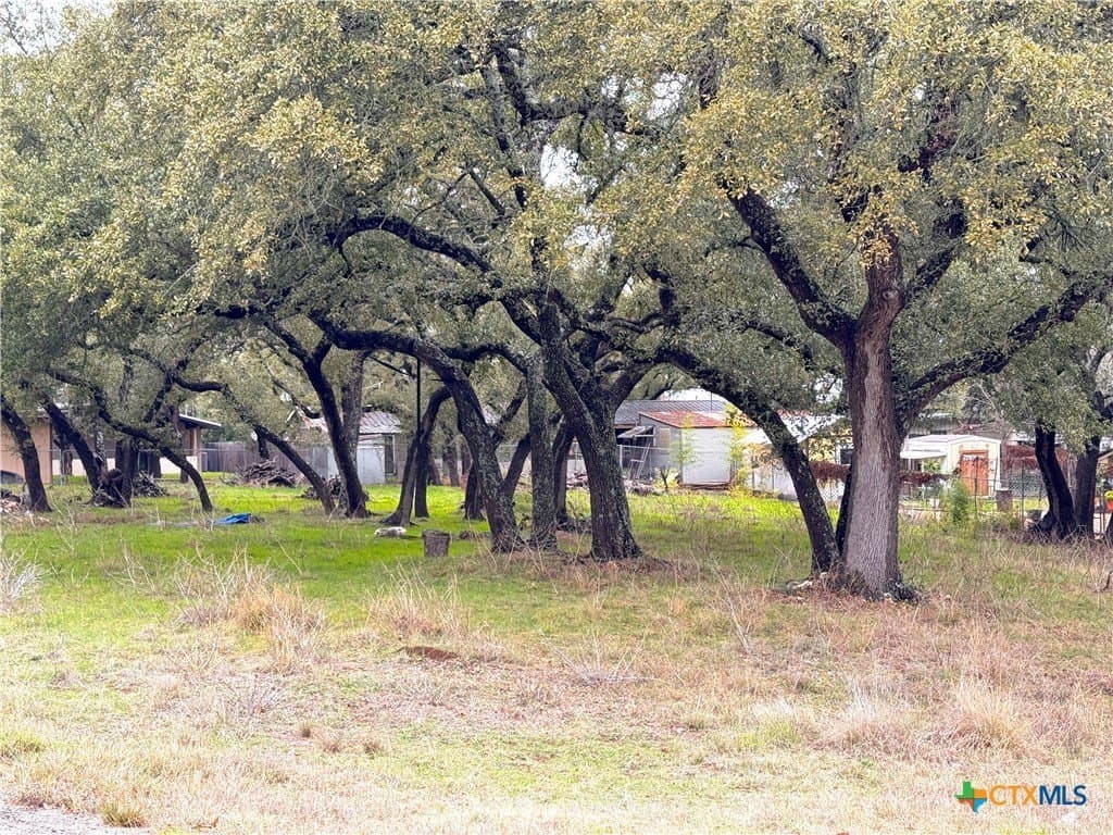 0.23 acres in Comal County - photo 9