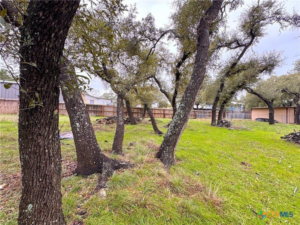 0.23 acres in Comal County - photo 7