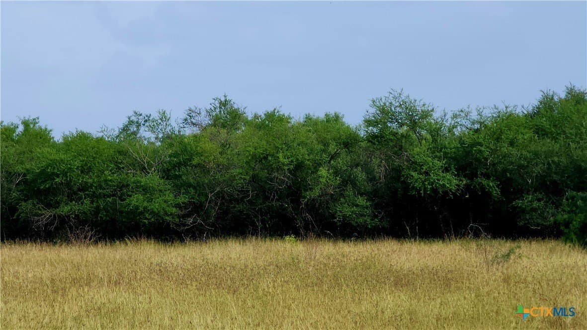 21 acres in Victoria County - photo 2