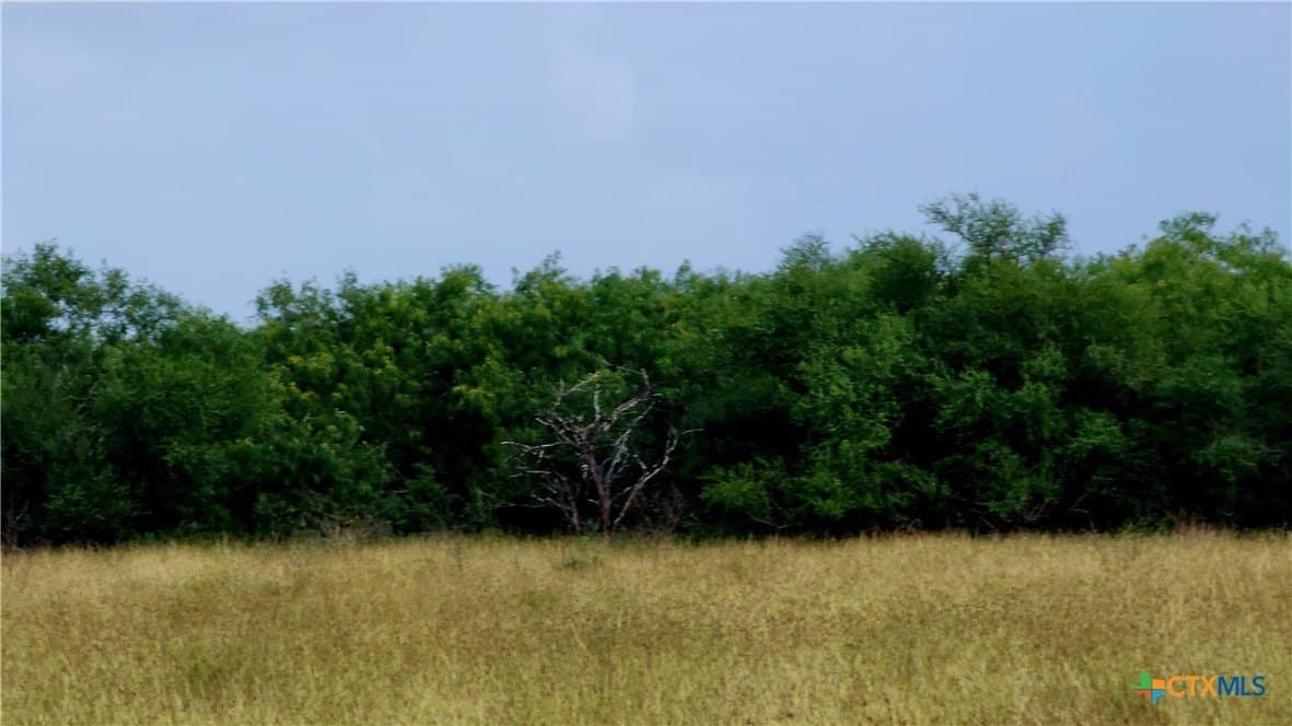 21 acres in Victoria County - photo 5