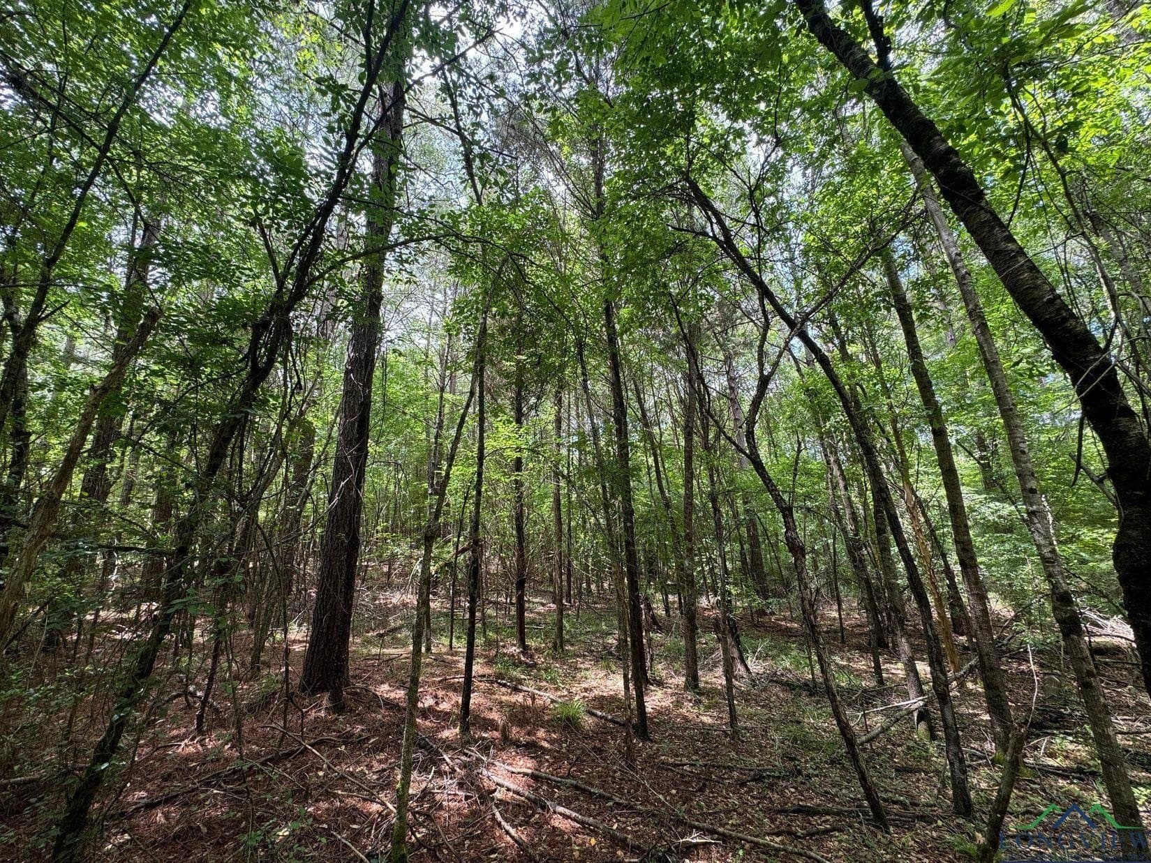 8.6 acres in Marion County - photo 8