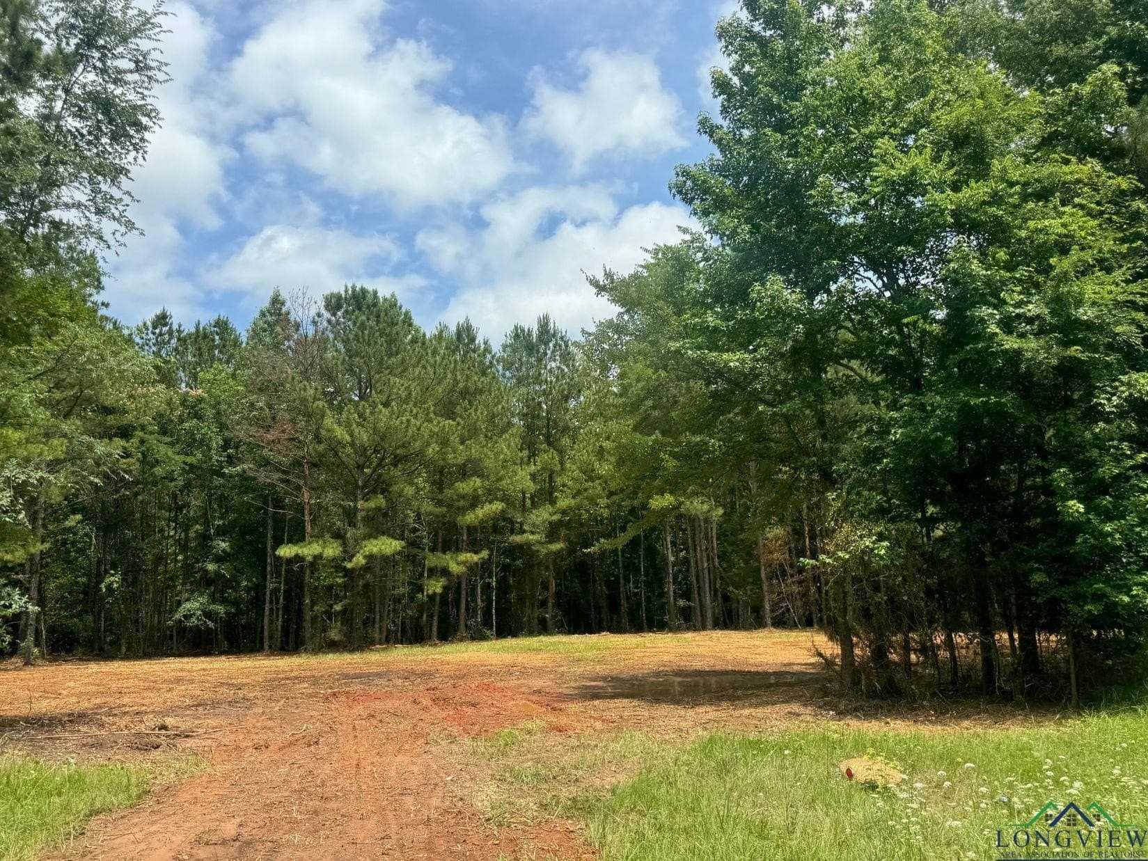 8.6 acres in Marion County - photo 7