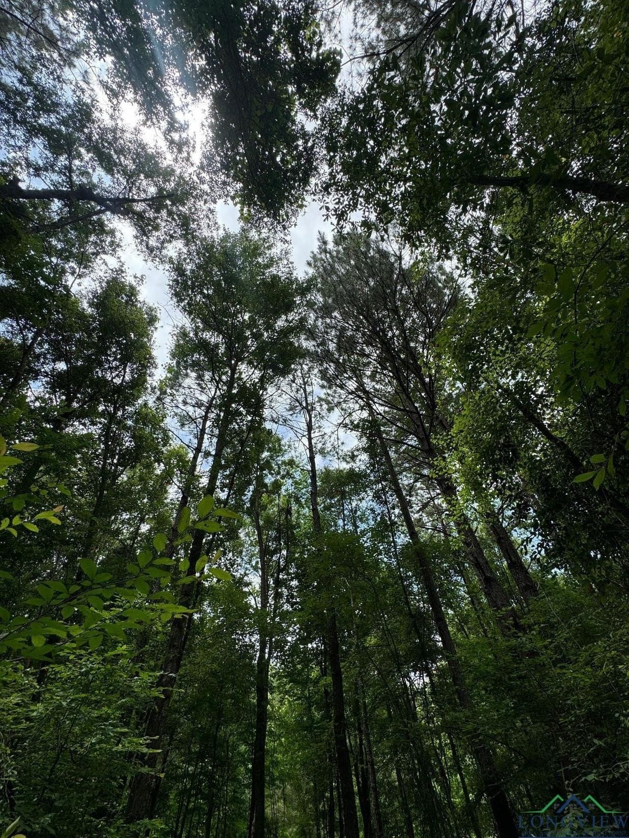 8.6 acres in Marion County - photo 10