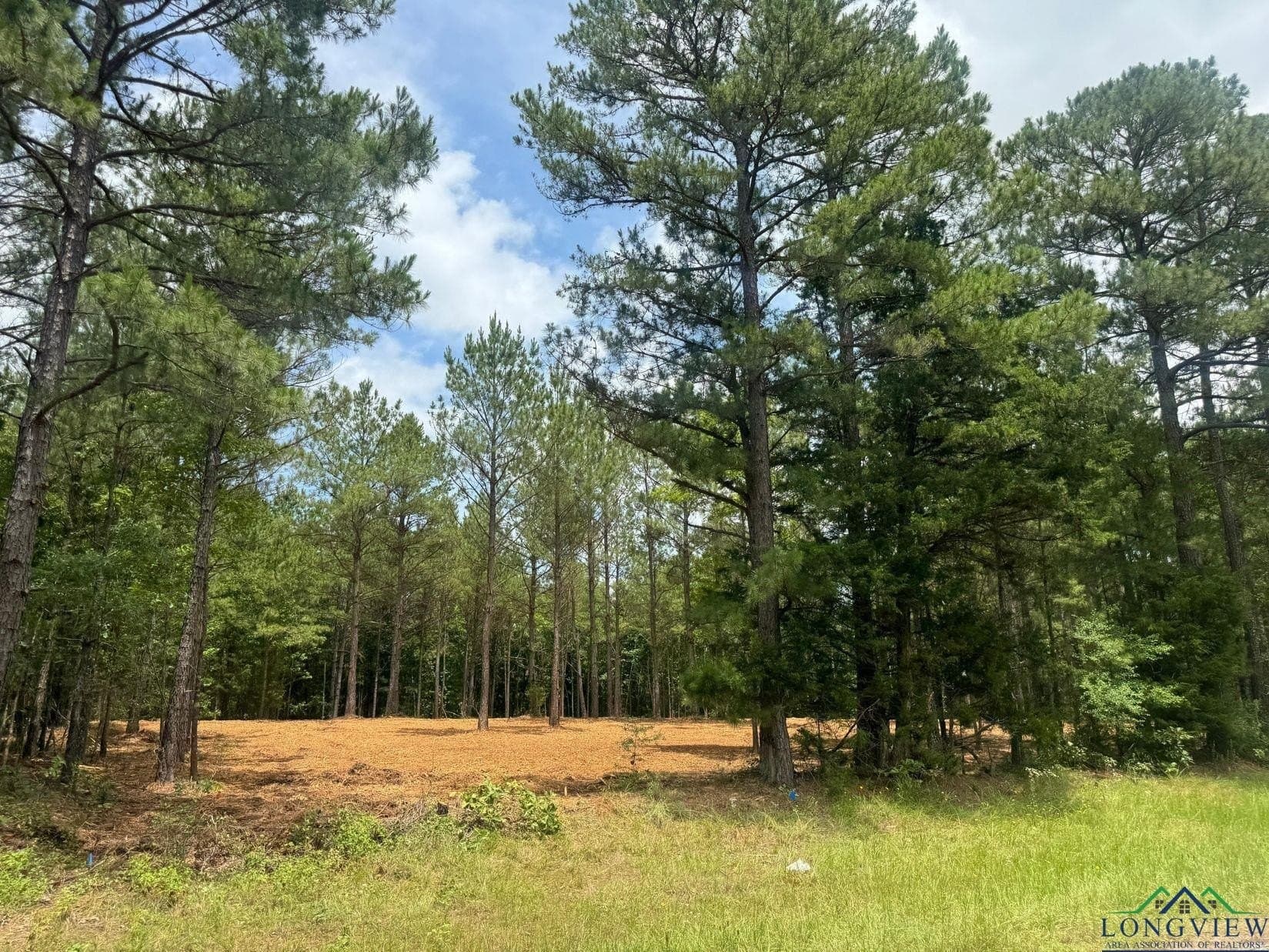 8.6 acres in Marion County - photo 9