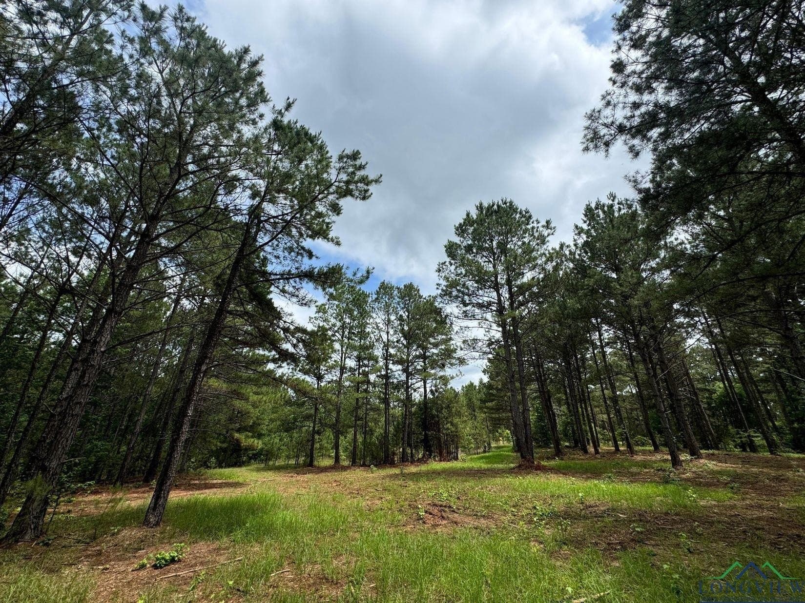 8.6 acres in Marion County - photo 4