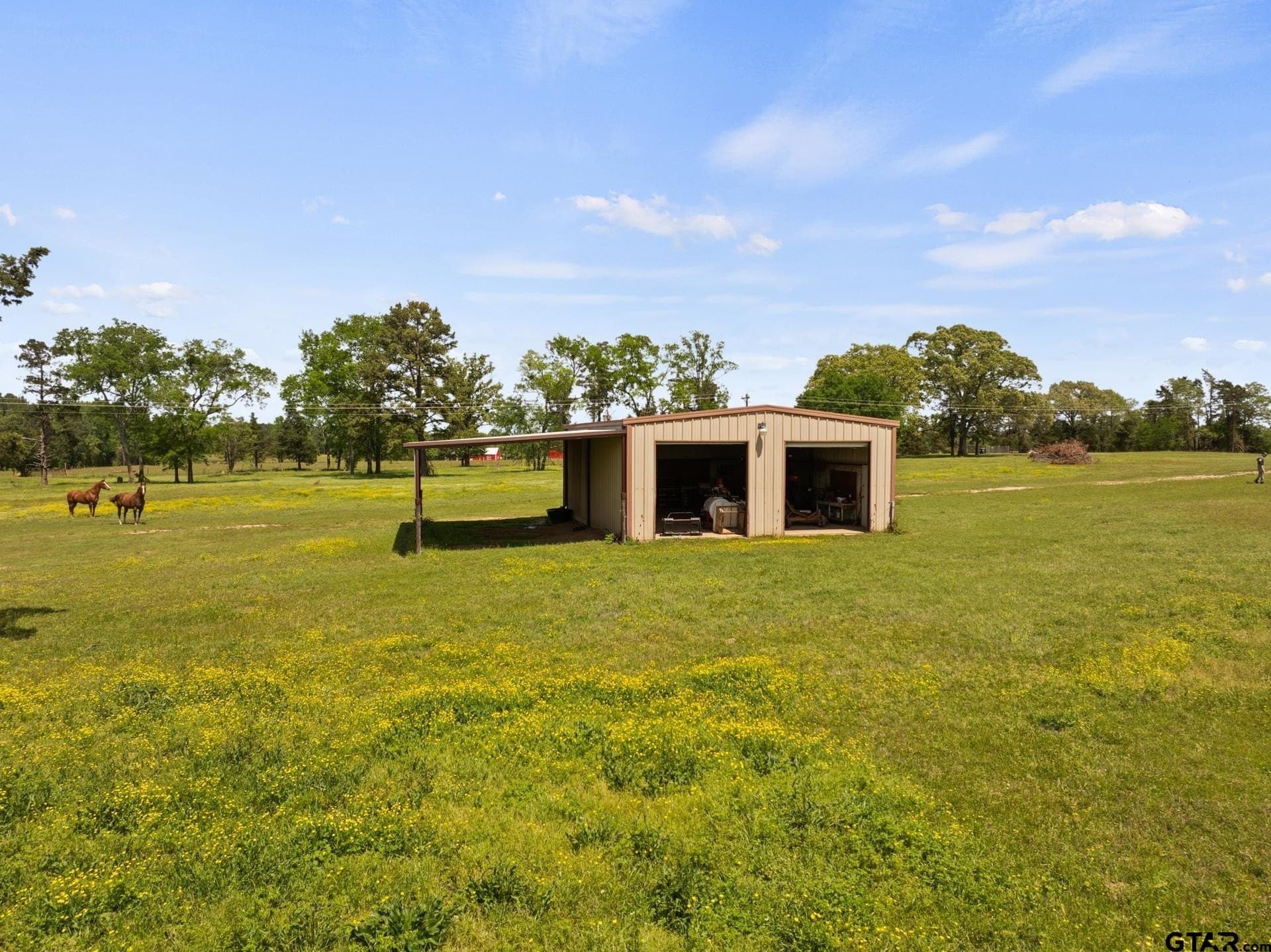 14.09 acres in Titus County - photo 3