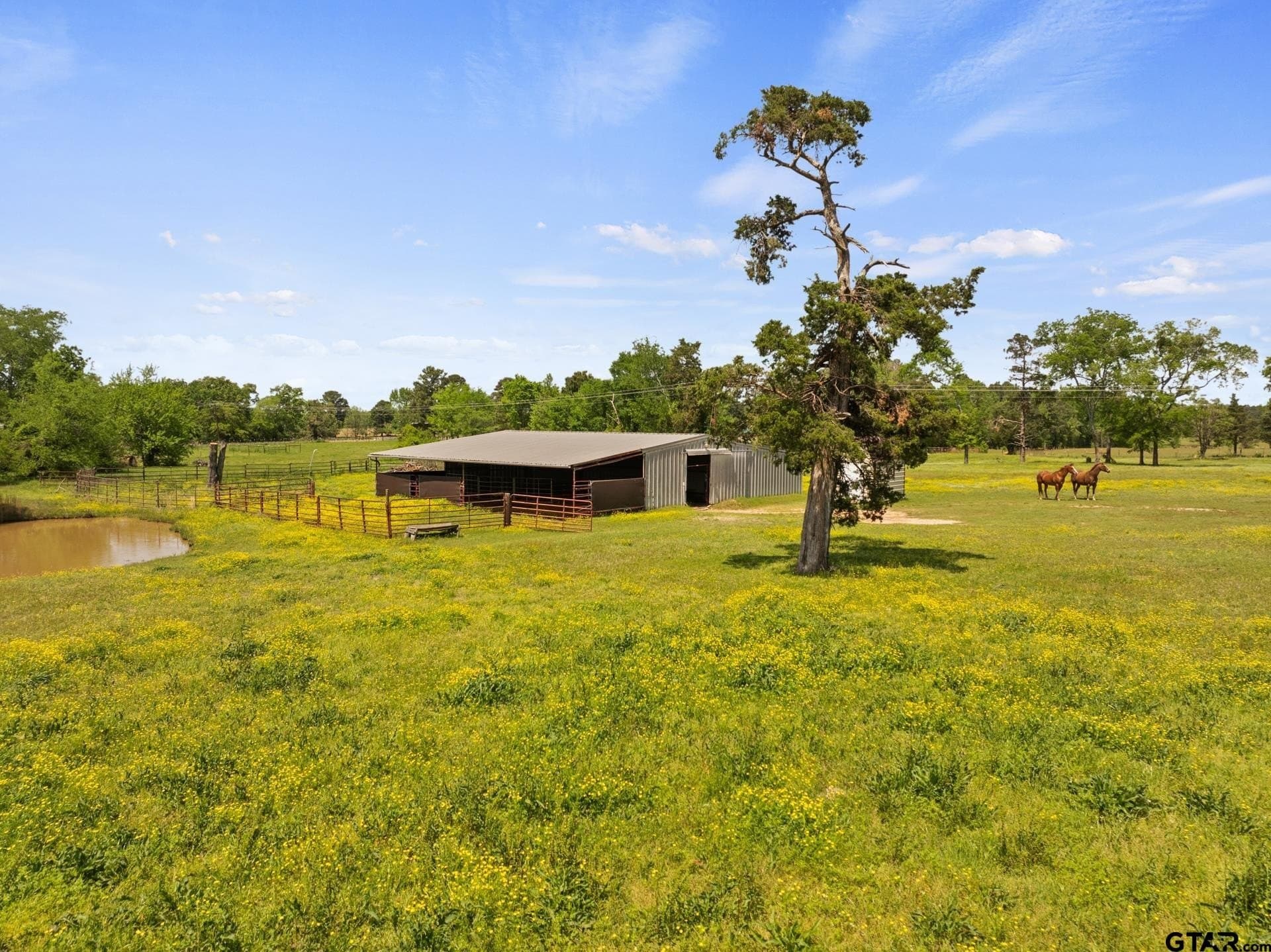 14.09 acres in Titus County - photo 4