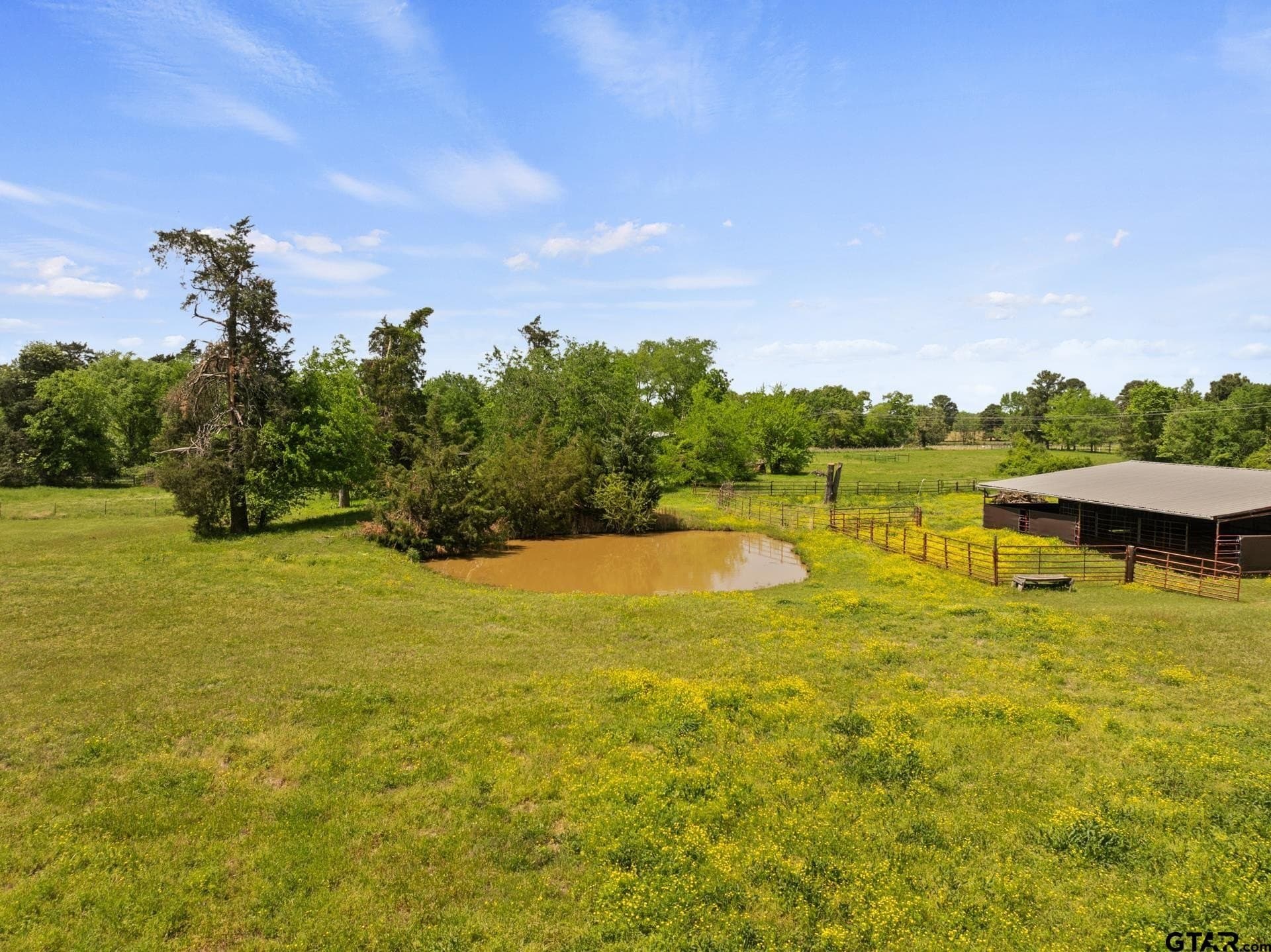 14.09 acres in Titus County - photo 21