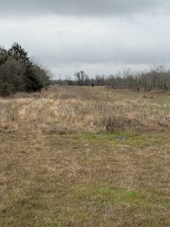 21.87 acres in Limestone County - photo 4