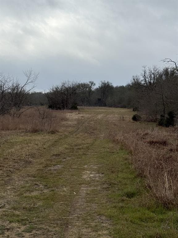 21.87 acres in Limestone County - photo 6