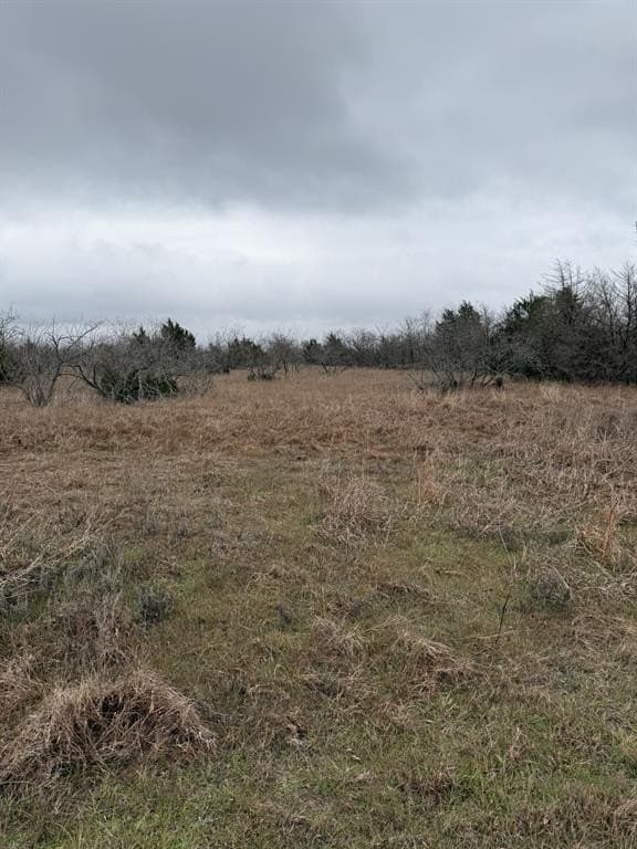 21.87 acres in Limestone County - photo 5