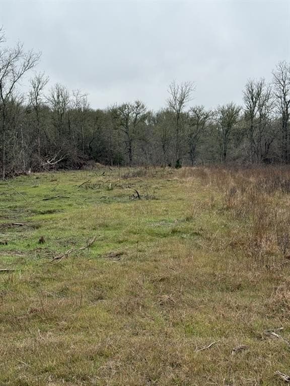 21.87 acres in Limestone County - photo 3