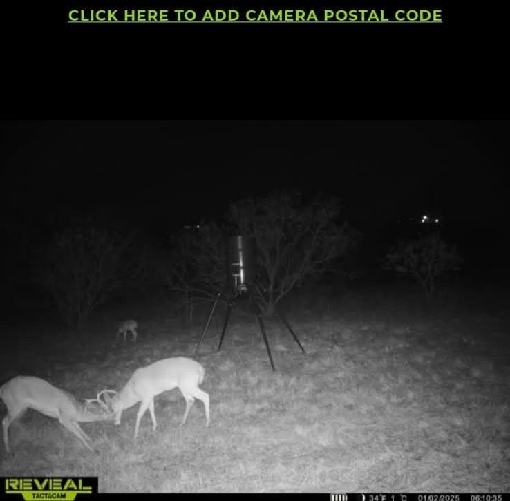 36.41 acres in McLennan County - photo 64