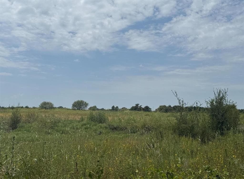 11 acres in Hill County - photo 2